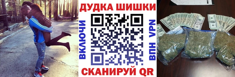 Конопля сатива Сорск